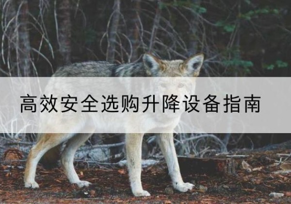 扬中升降货梯厂家推荐-*安全选购升降设备指南
