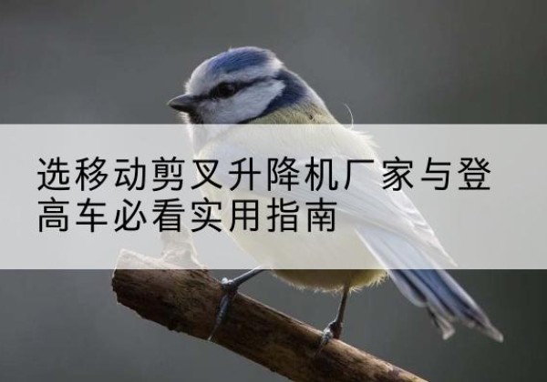 扬中电动升降机厂家-选移动剪叉升降机厂家与登高车必看实用指南