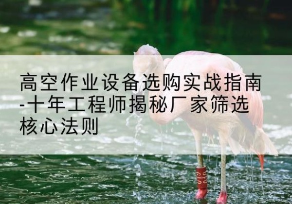 扬中剪叉式升降机厂家-高空作业设备选购实战指南-十年工程师揭秘厂家筛选核心法则